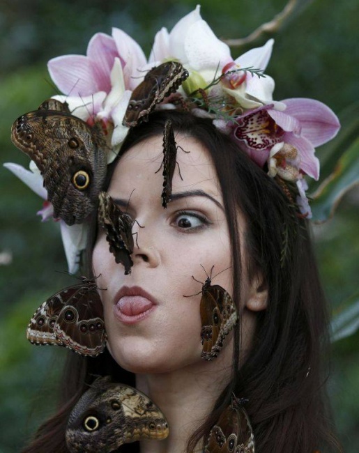 Фотозарисовки с бабочками