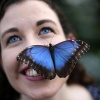 Фотозарисовки с бабочками