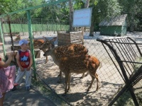 Экскурсия в Большереченском зоопарке