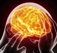 Итальянский суд признал опухоль мозга профессиональным заболеванием