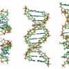Так что же такое гены? И как выявить мутацию?