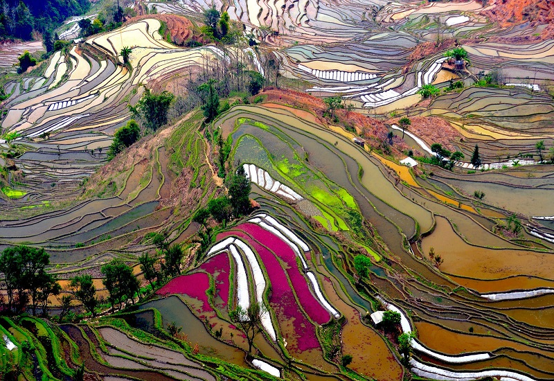Рисовые террасы Хунхэ-Хани в Китае