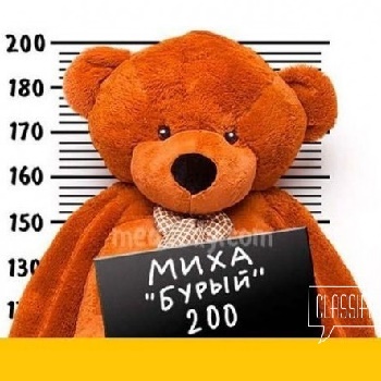  общение