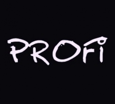  Компания "ПРОФИ" - разработка и продвижение сайтов в Звенигороде