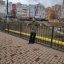  Познакомлюсь с девушкой