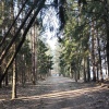 Виштынецкое озеро (Часть 2)