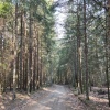 Виштынецкое озеро (Часть 1)