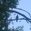 Мгновения природы