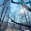 ЖД арочный мост в Токаревке (Я на фото)