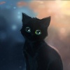 Р С™Р С•РЎвЂљРЎвЂ№ Rihards Donskis