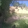 Мгновения природы