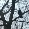 Мгновения природы