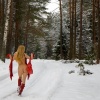 Весеннее настроение