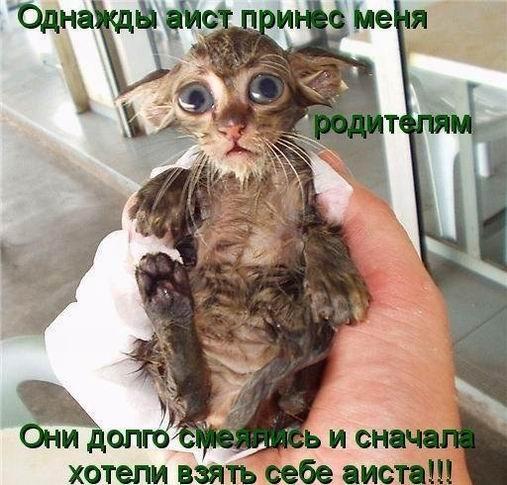 Фото без названия