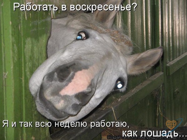 Фото без названия