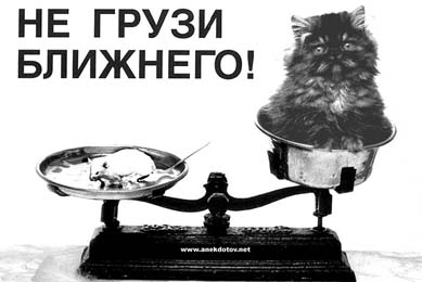 прикол