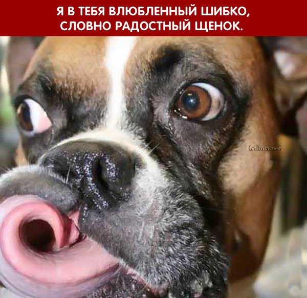 Фото без названия