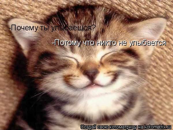 Фото без названия