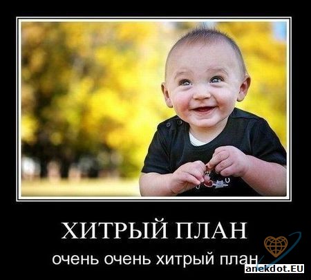 Фото без названия