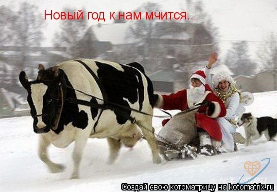 Фото без названия
