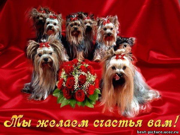 Фото без названия