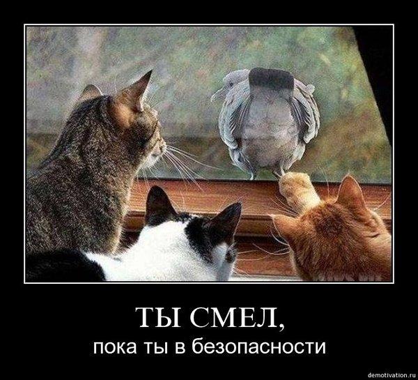 Фото без названия