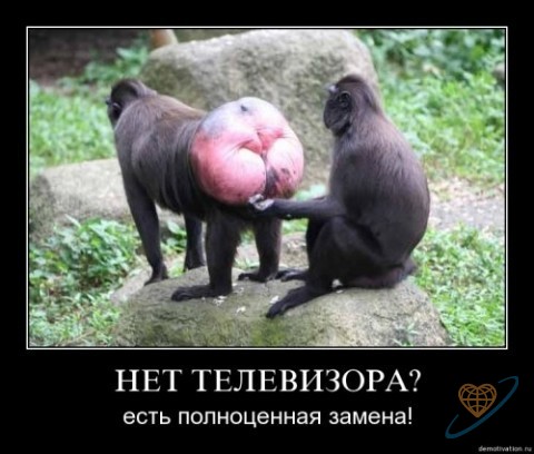 Фото без названия