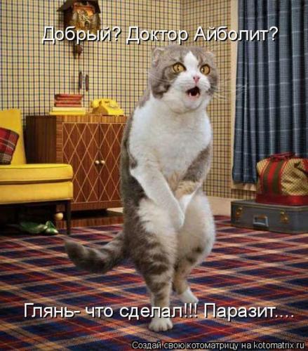 прикол