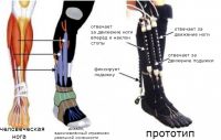 Мягкий экзоскелет поможет больным с параличом конечностей
