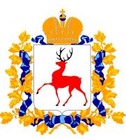 Еще 85 нижегородских учреждений соцсферы будут оборудованы средствами доступности для инвалидов