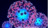 Животворящая терапия? Как и что лечат стволовыми клетками