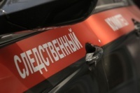 Жительница вологодской области убила мужа, который сбросил ее с инвалидной коляски
