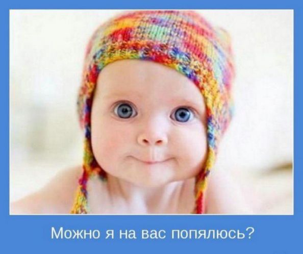 Любопытный Мальчик