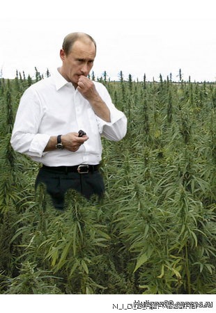 прикол