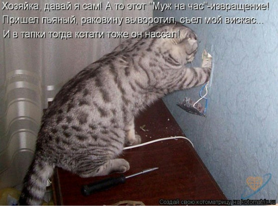 Фото без названия