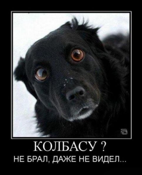 Фото без названия
