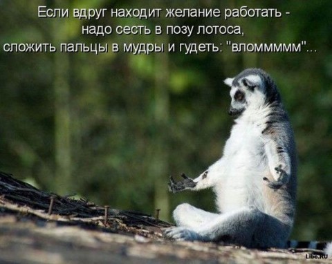 Фото без названия