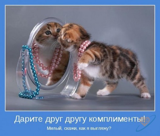 Фото без названия