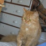 Феня 2013-05-06-