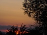 DSCN0171.JPG