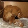 2013-03-10-600-ф