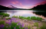 landscape-trees-nature-lake-flowers-path-sky-clouds-2146140