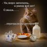 А УЖИНА ВСЕ НЕТ