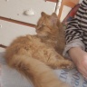 2013-03-10-600-ф