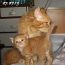 2013-07-27-IMG_5811