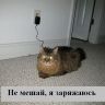 прикол