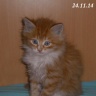 DSCN4467-500