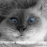 прикол