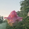 IMG-20200812-WA0061