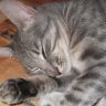 DSCF0104[1]